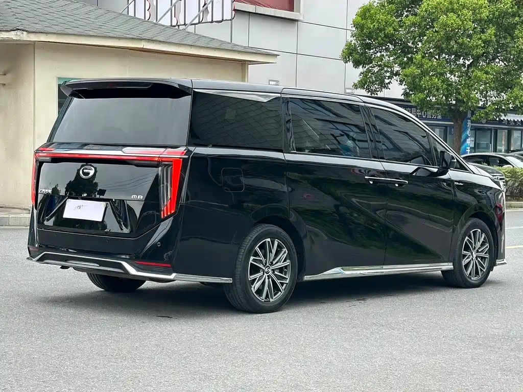 GAC Motor Trumpchi M8 2024 — фото 15