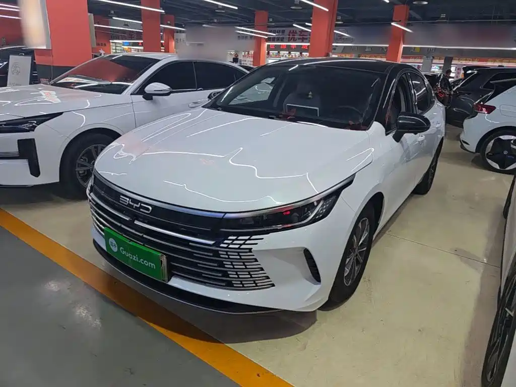 BYD Destroyer 05 2024 — фото 2