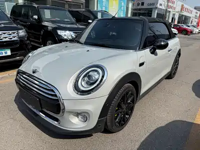 MINI MINI 2019
