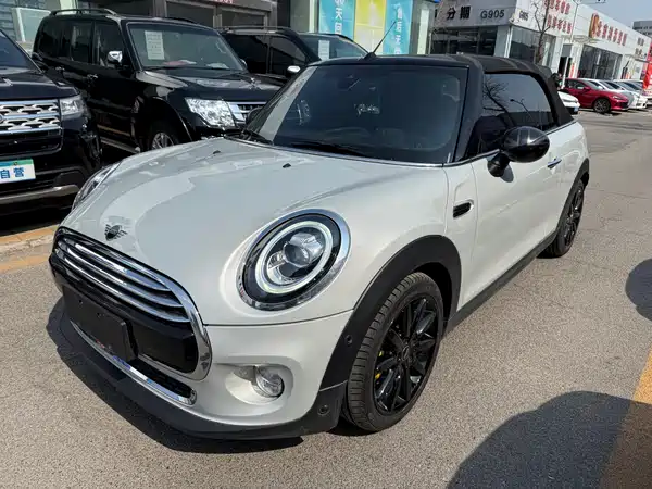 MINI MINI 2019