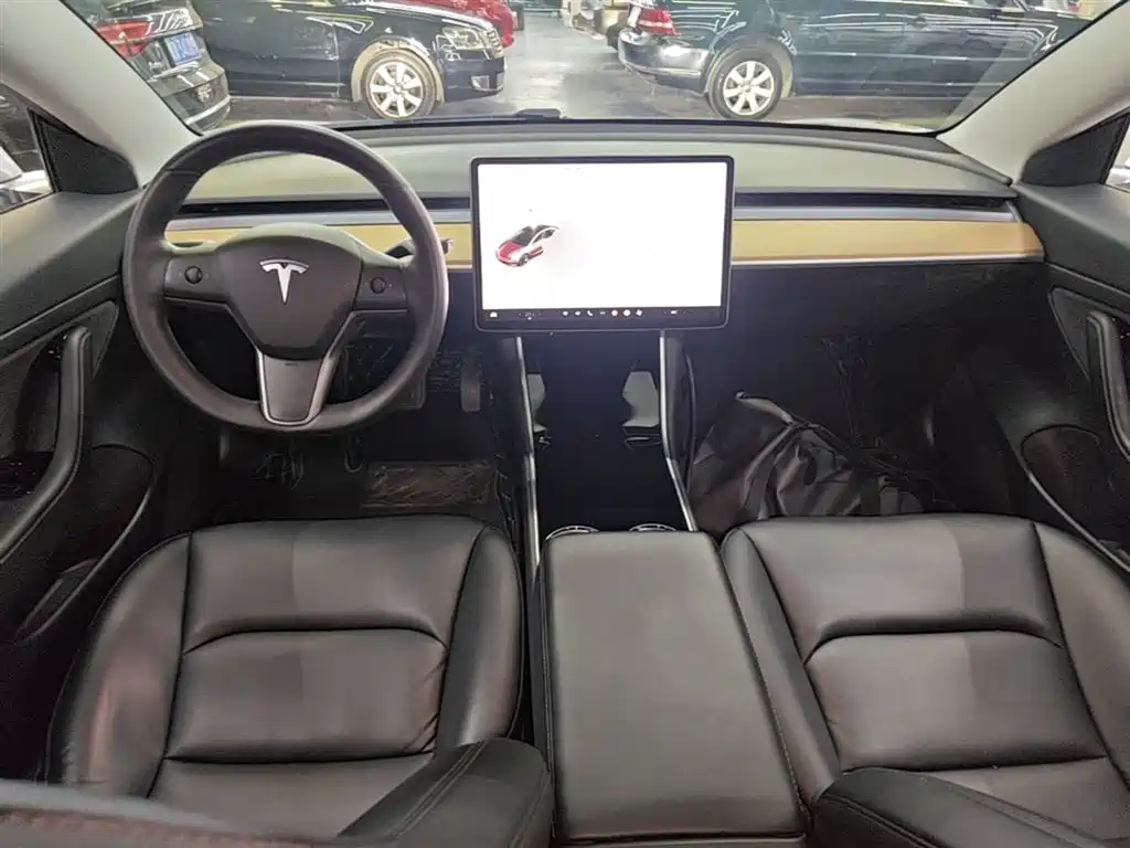 Tesla Model 3 2020 — фото 10