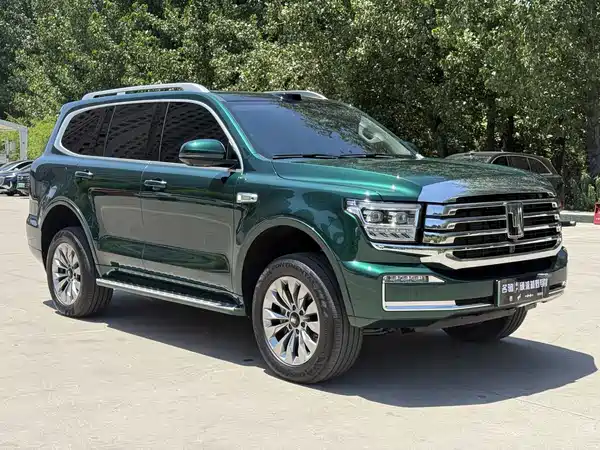 Tank 500 New Energy 2025