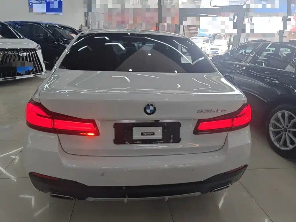 BMW 5 Series New Energy 2021