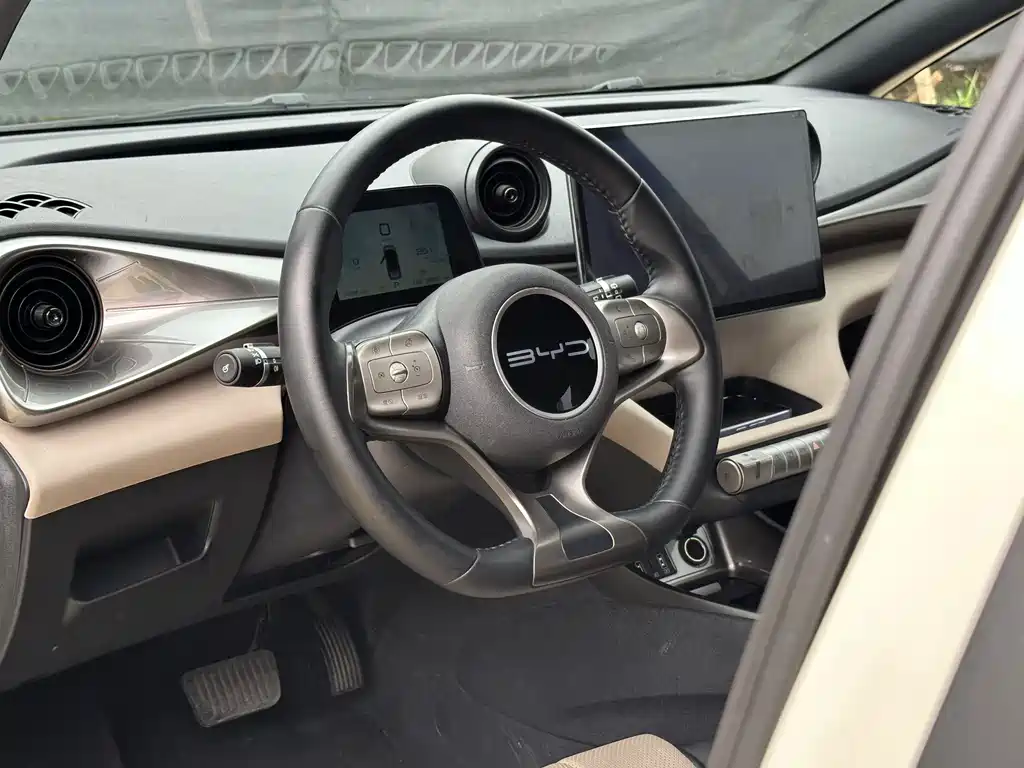 BYD Dolphin 2023 — фото 12