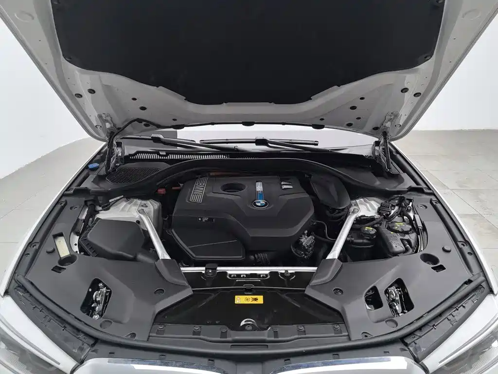 BMW 5 Series New Energy 2020
