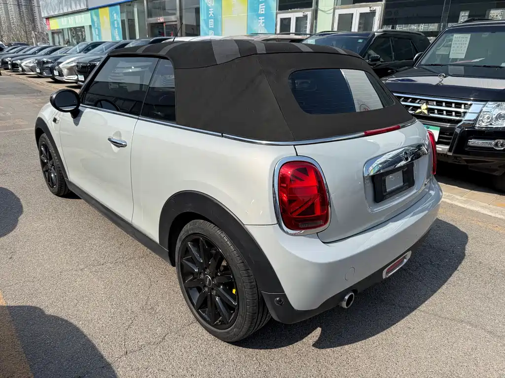 MINI MINI 2019