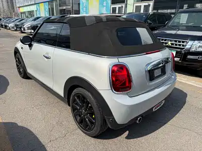 MINI MINI 2019