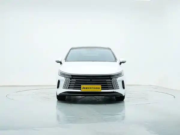 BYD Destroyer 05 2024
