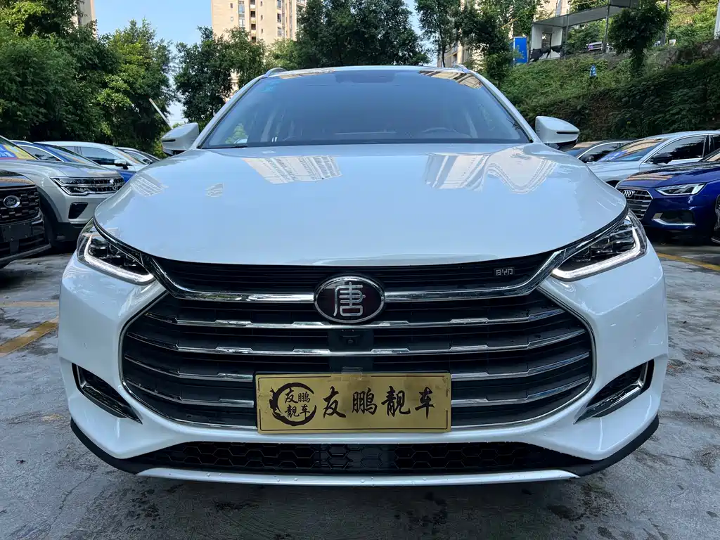 BYD Tang 2019 — фото 2