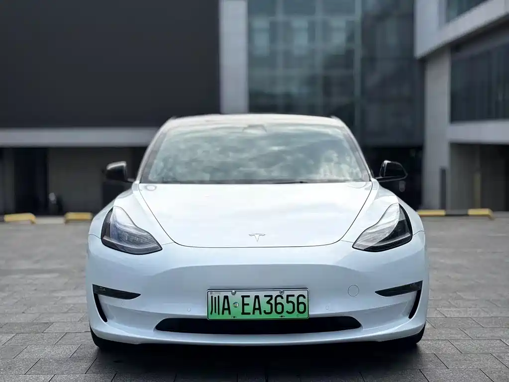 Tesla Model 3 2021 — фото 2