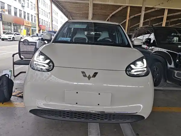 Wuling Bingo 2024