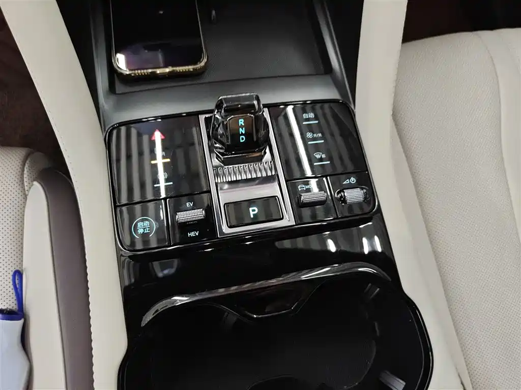 BYD PLUS New Energy 2024 — фото 14