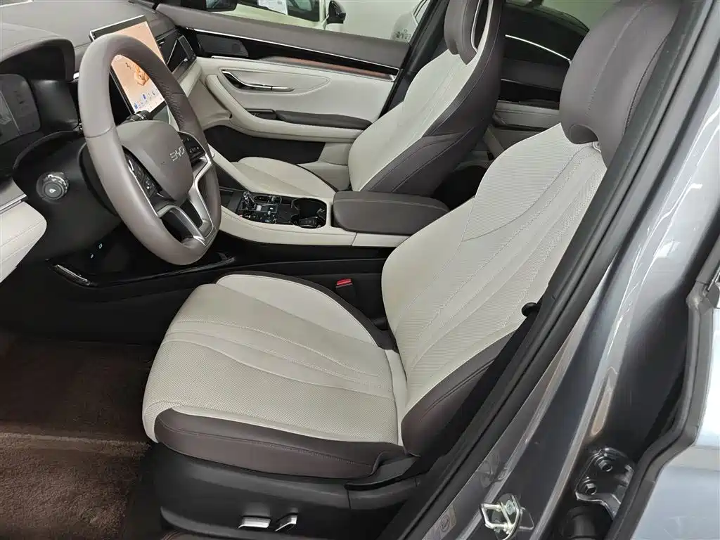 BYD PLUS New Energy 2024 — фото 15