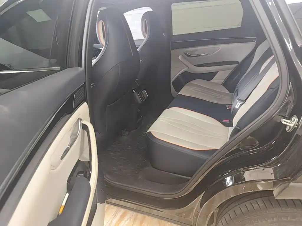 BYD Song PLUS New Energy 2022 — фото 17