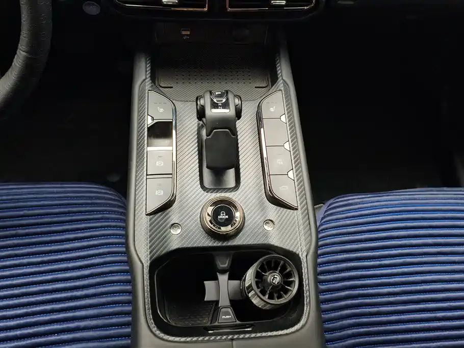 Haval Dargo PLUS EV 2023 — фото 16