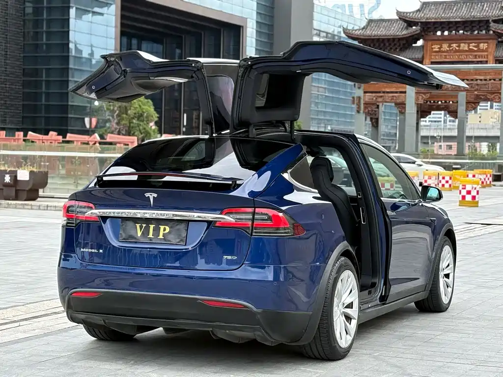 Tesla Model X 2017 — фото 5