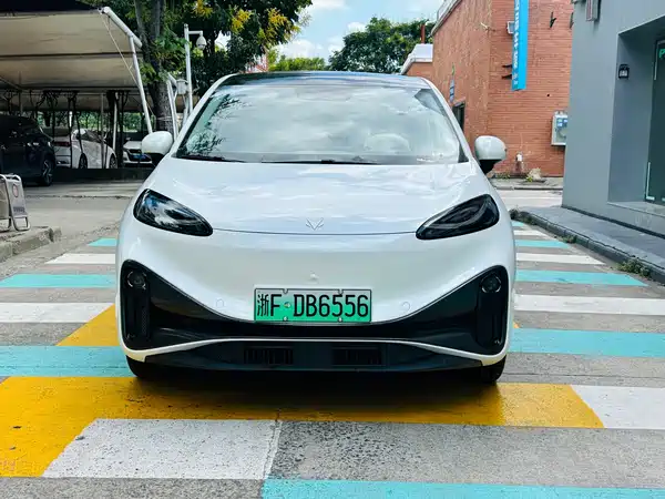 Arcfox Koala S 2025