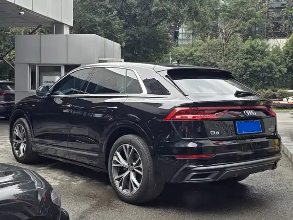 Audi Q8 2019