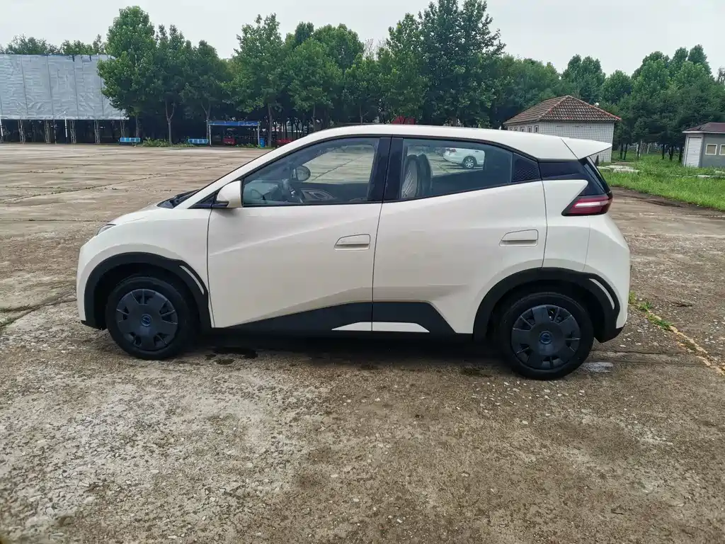 BYD Seagull 2026