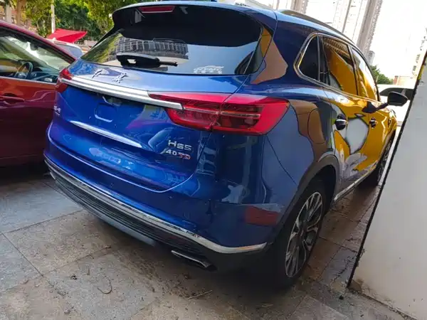 Hongqi HS5 2021