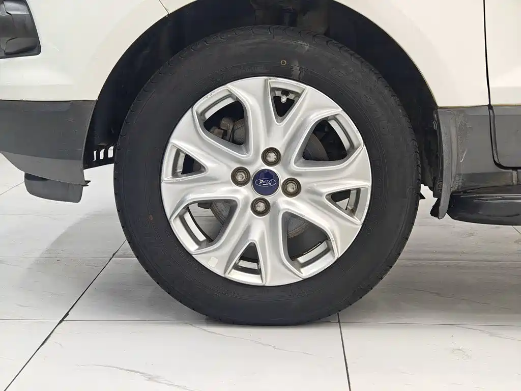 Ford Ecosport 2014 — фото 25
