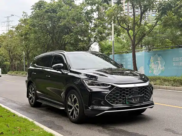BYD Tang New Energy 2025