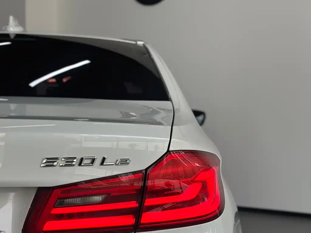 BMW 5 Series New Energy 2020 — фото 19