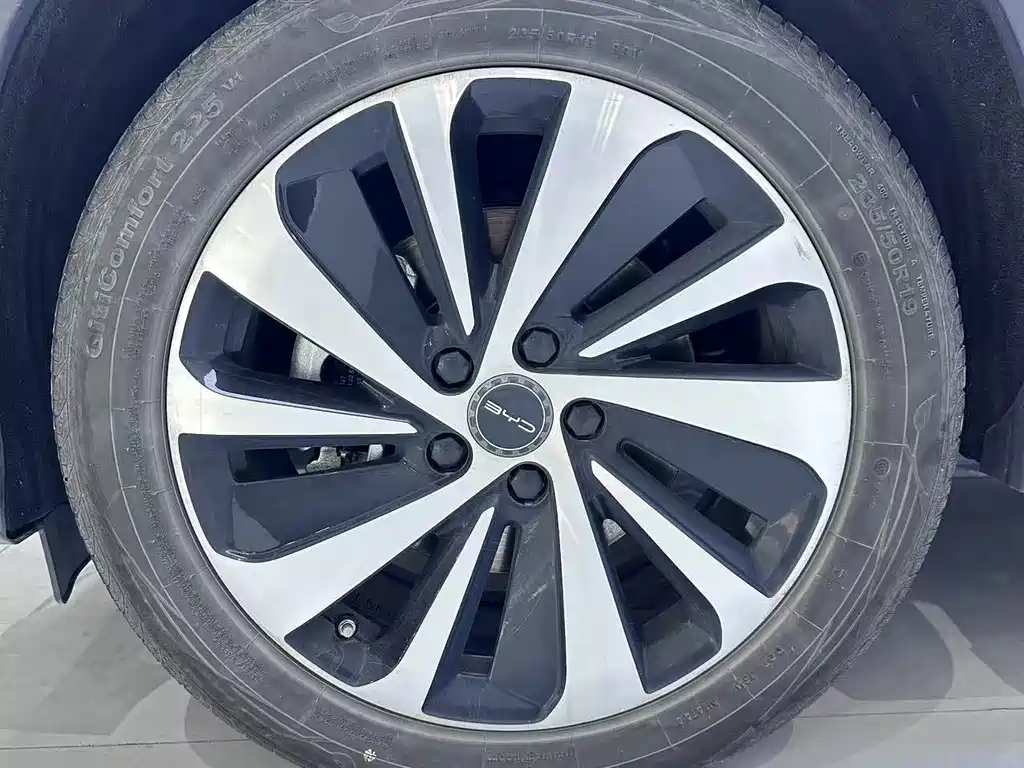 BYD Song PLUS New Energy 2024 — фото 3