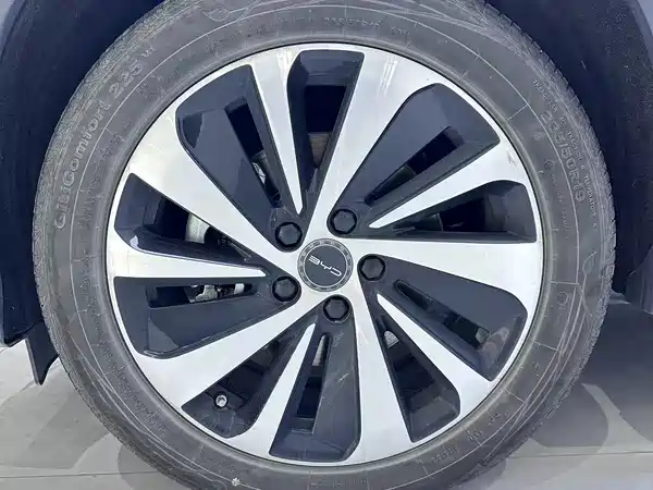 BYD Song PLUS New Energy 2024