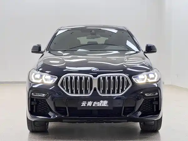 BMW X6 2021