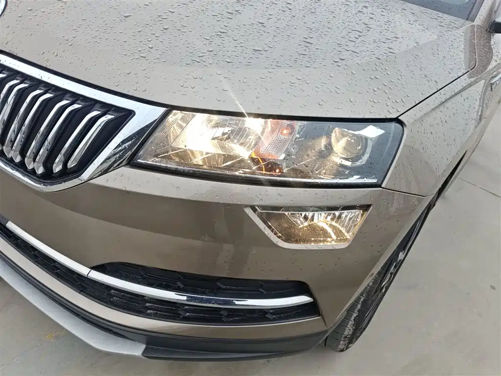Skoda Karoq 2019 — фото 18