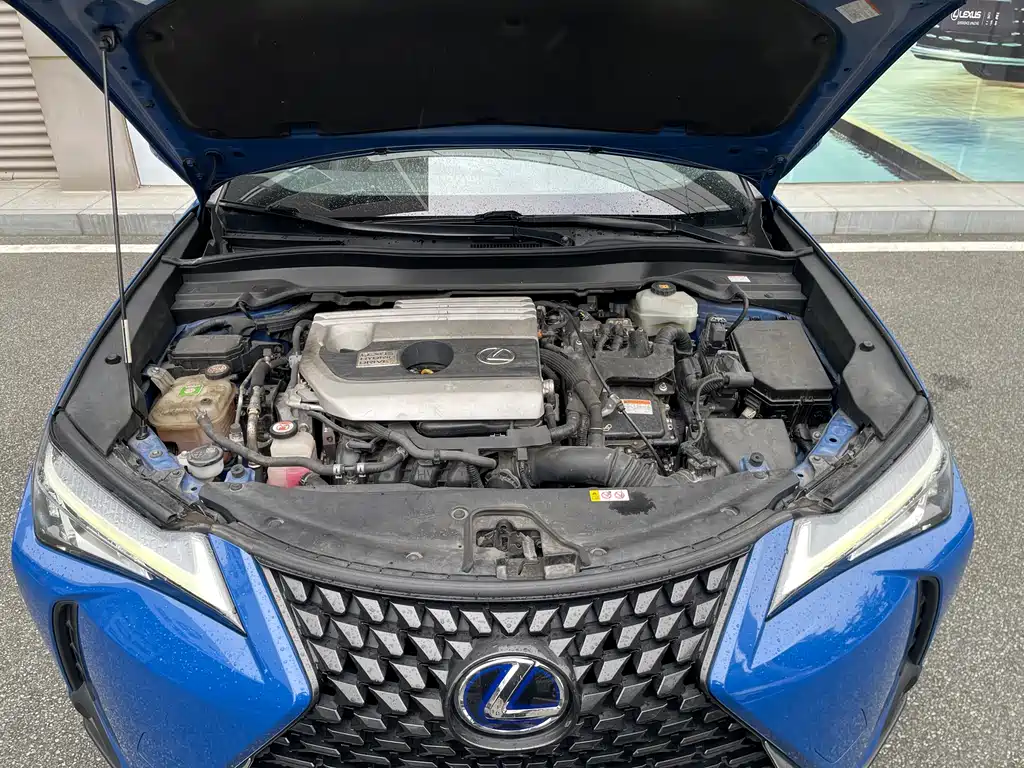 Lexus UX 2019 — фото 14