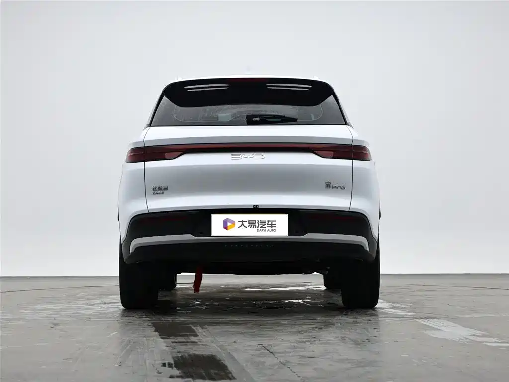 BYD Pro New Energy 2024 — фото 4