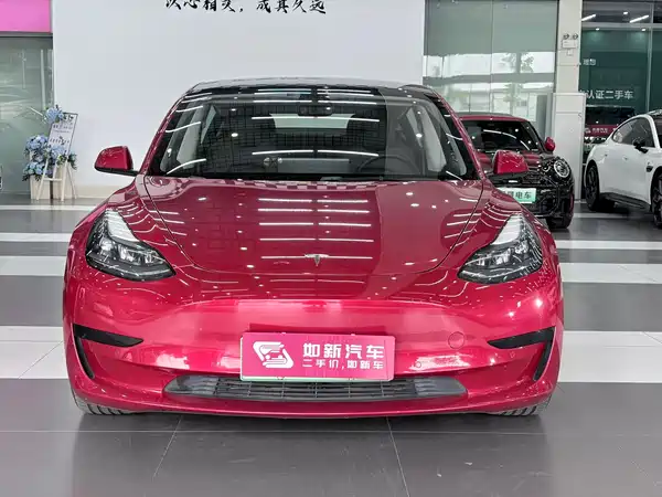 Tesla Model 3 2021