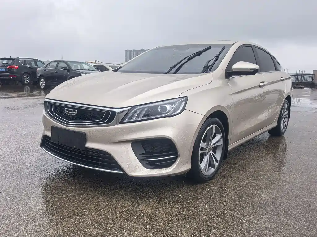 Geely Binrui 2019