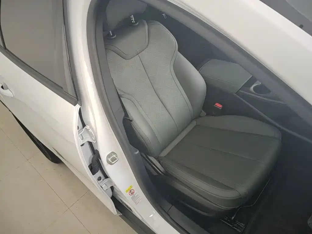 BYD Qin PLUS 2025 — фото 25