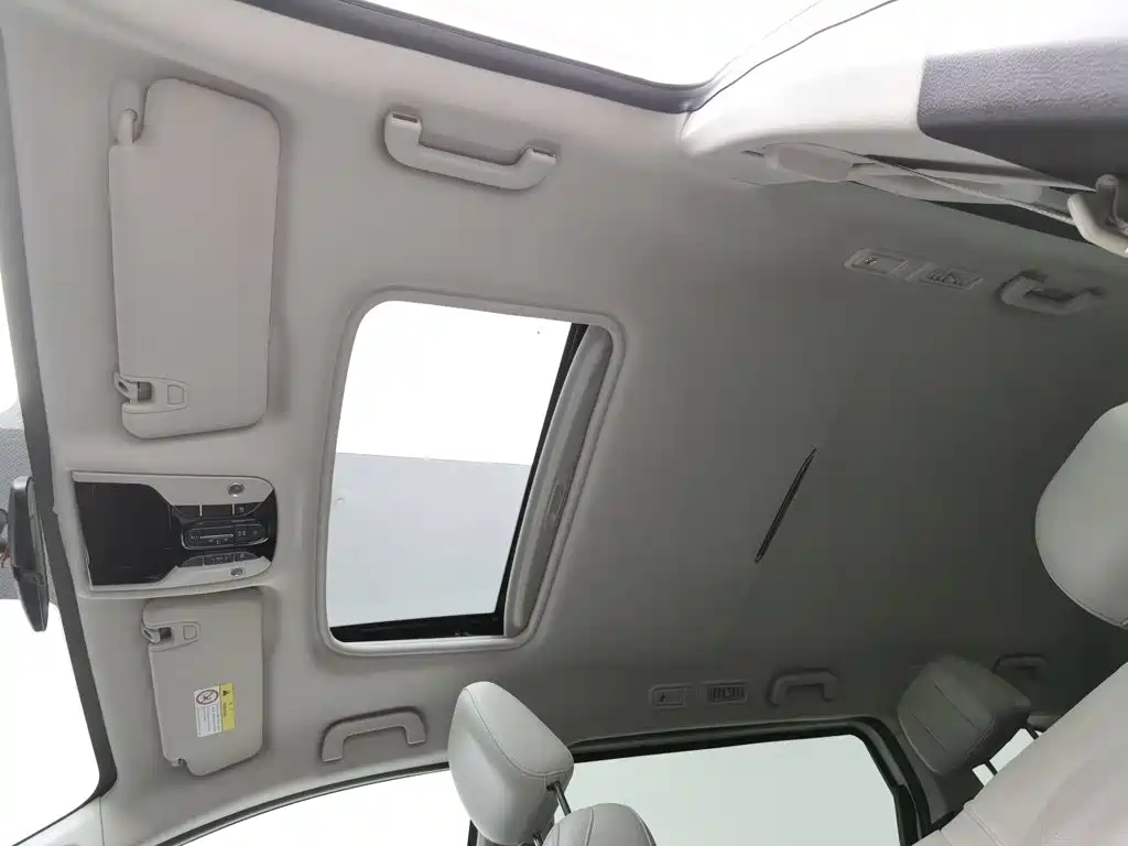 GAC Trumpchi M8 2021 — фото 14