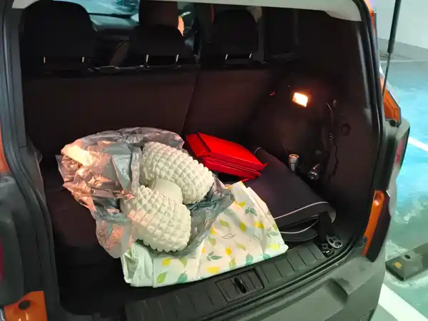 Jeep Freeman 2019
