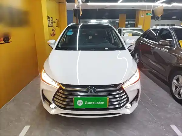 BYD Song MAX New Energy 2019