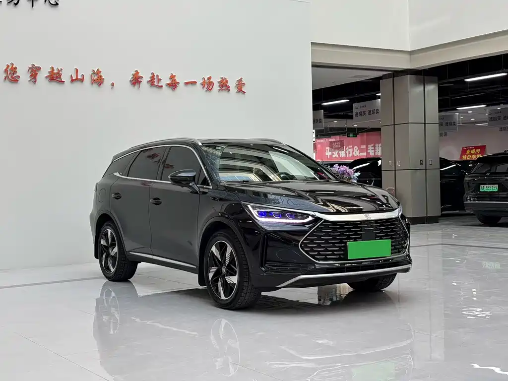 BYD Tang New Energy 2025 — фото 3