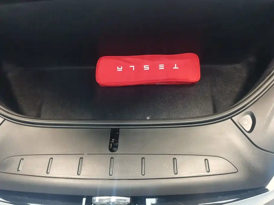 Tesla Model X 2019 — фото 10