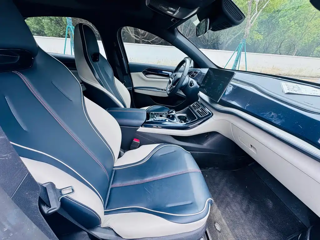 BYD Qin PLUS 2021 — фото 20