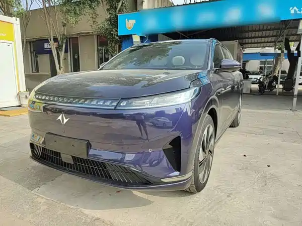 Dongfeng e008 2024