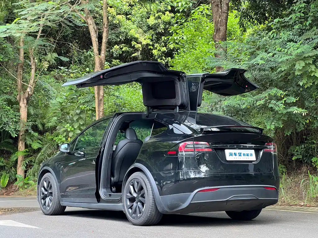 Tesla Model X 2023 — фото 3