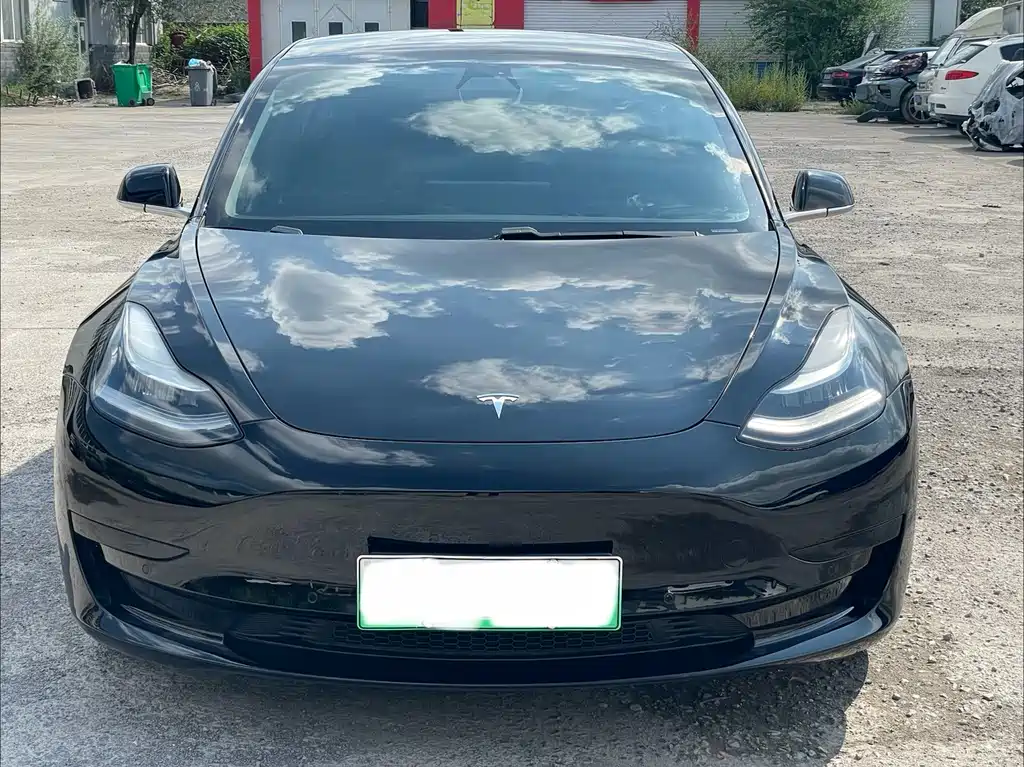 Tesla Model 3 2020 — фото 2