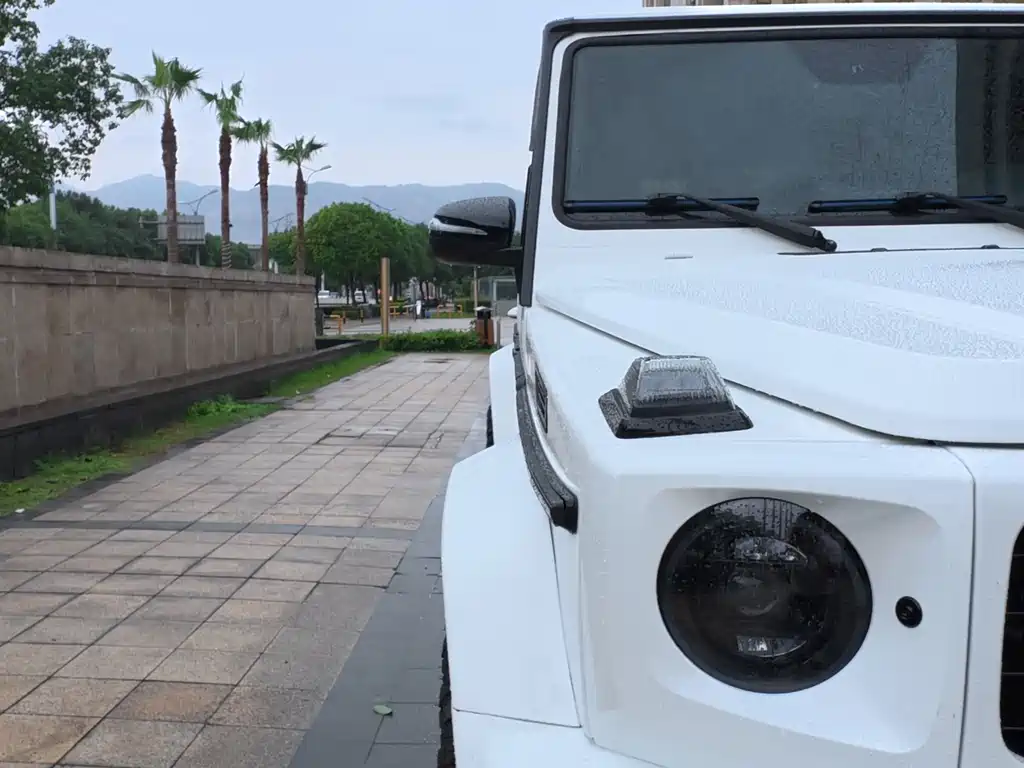 Mercedes-Benz G-Class 2018 — фото 16