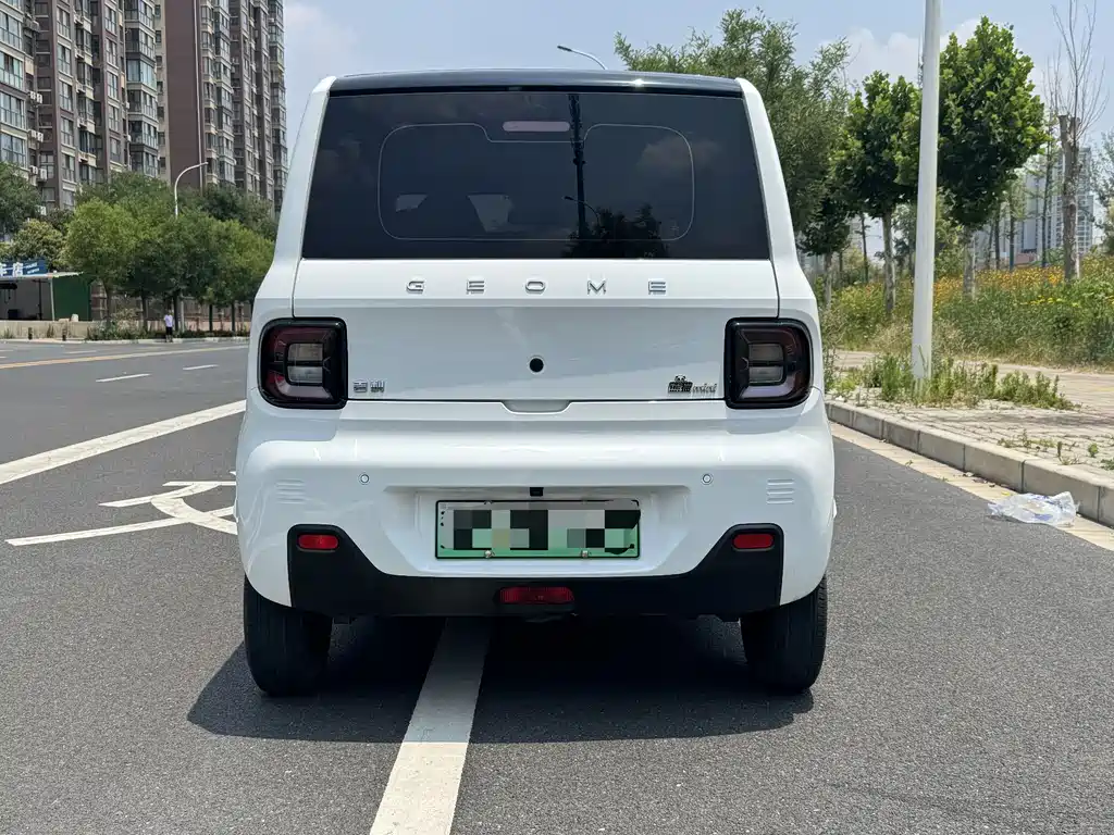 Galaxy Panda 2024