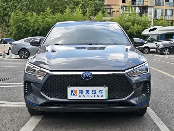 BYD e2 2022