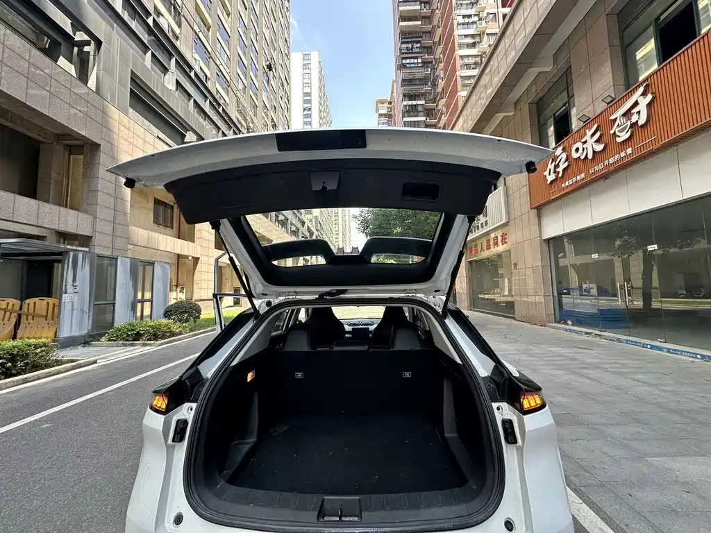 Dongfeng Aeolus SKY 2024 — фото 10