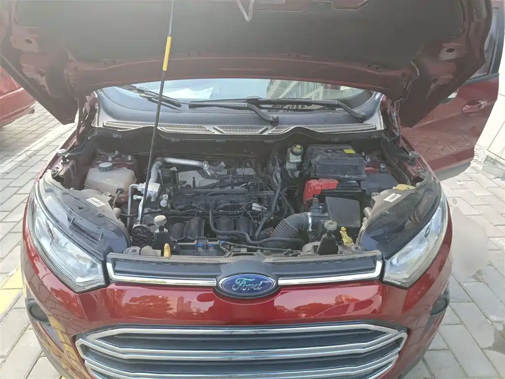 Ford Ecosport 2017 — фото 16
